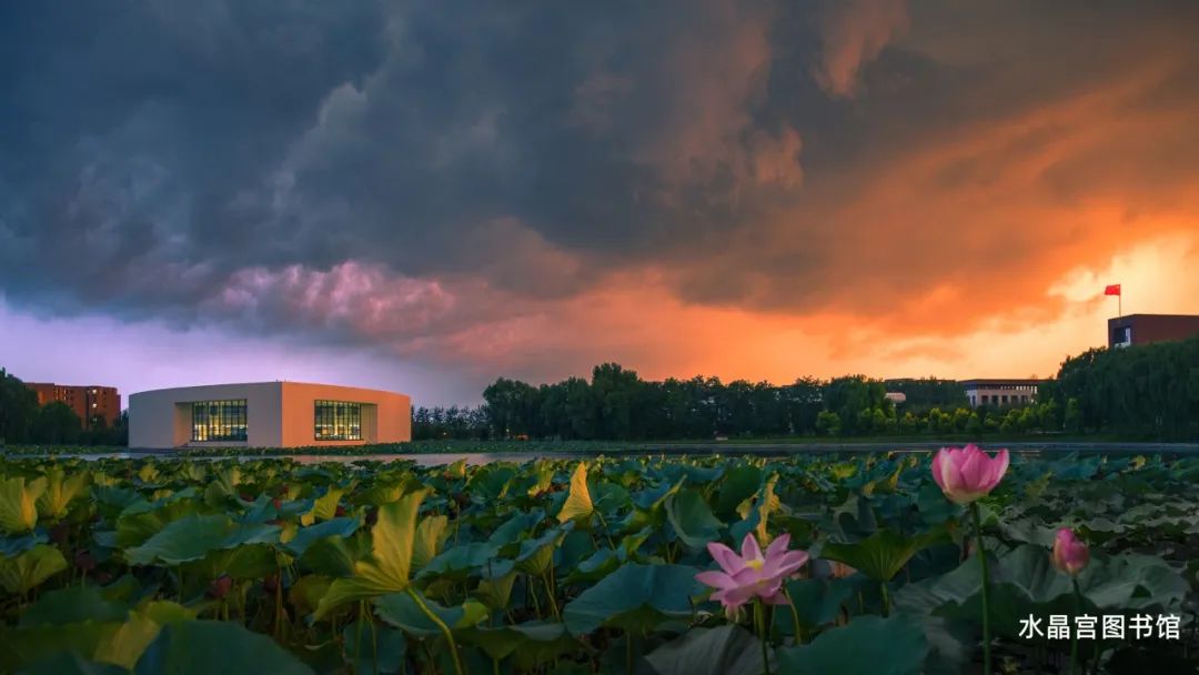 沈阳城市学院2024年招生,沈阳城市学院招生官网