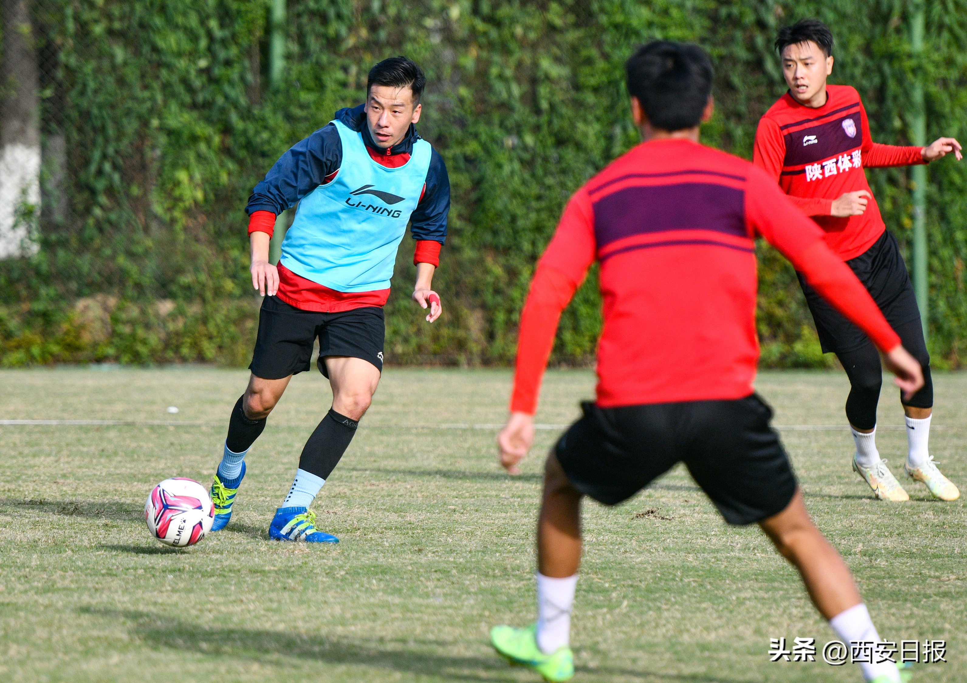 中甲西北狼最新视频,中甲西北狼最新信息