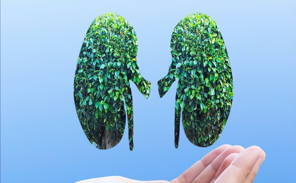 男人补肾益精的中药配方泡酒,补肾益精中药方剂