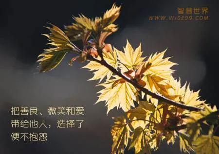 暖心互助见真情——爱满家书（272）