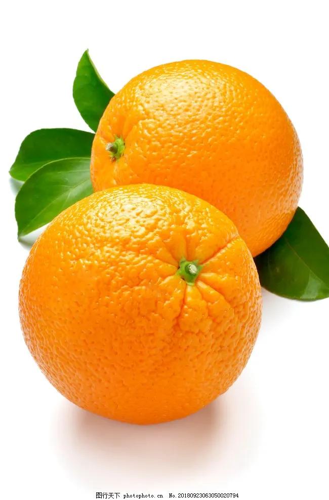 可以作为鱼饵的动植物有哪些,什么样的藻类植物可以做鱼饵