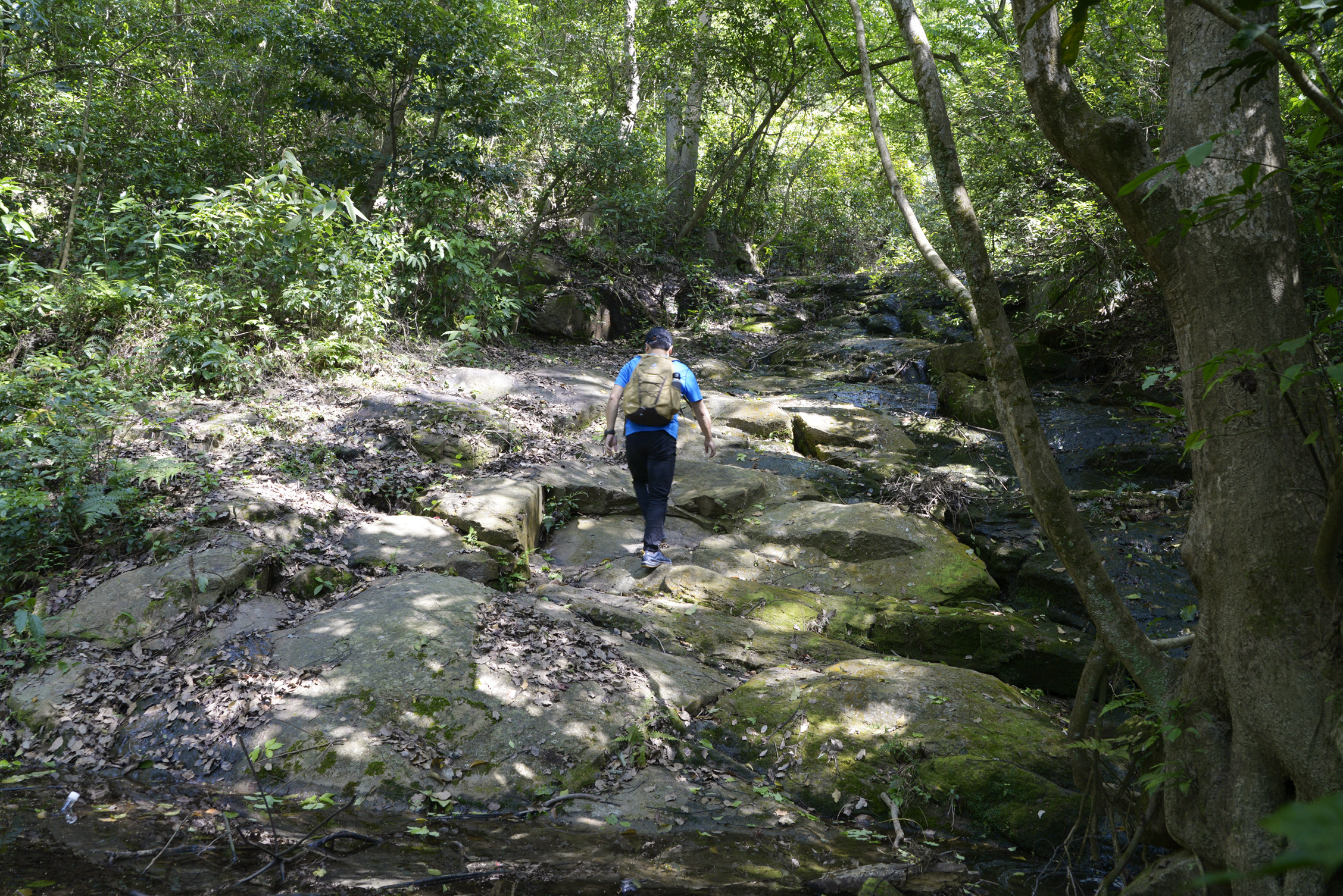 多特骑行背包真货,多特骑行背包平替