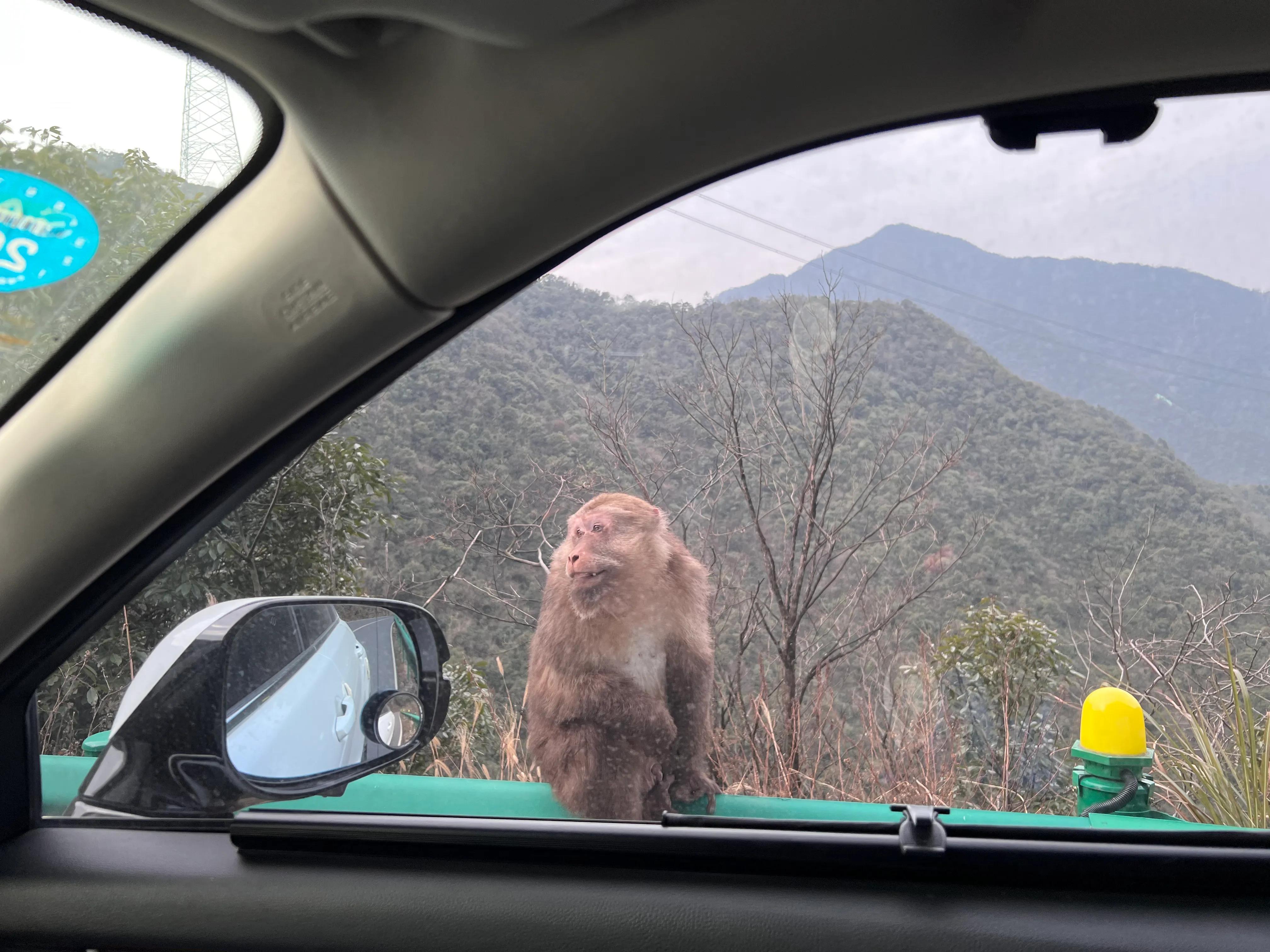 金华出发皖南318川藏线二日游,皖南川藏线318几月份去比较好