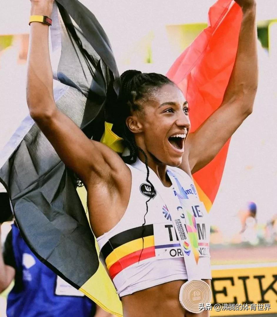 比利时名将海宁,比利时球星希福