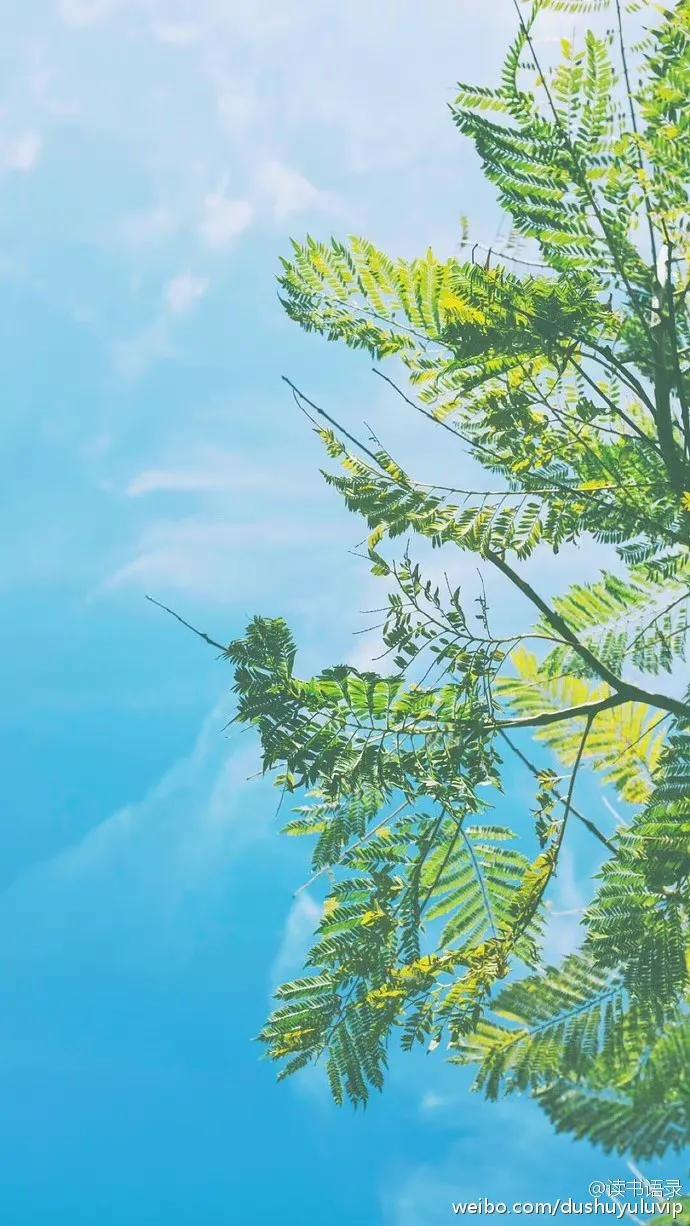 书荒小说推荐古言,书荒推荐高质量玄幻小说