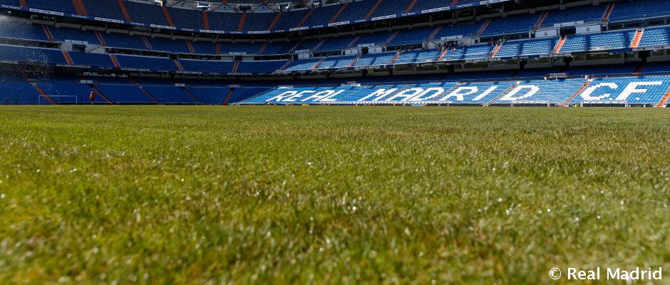 专业足球场vs专业篮球场,高端草球场和中端草球场差别