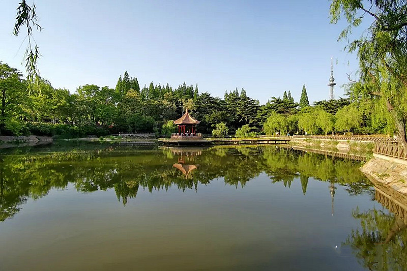 青岛最美摄影作品,青岛摄影师现状