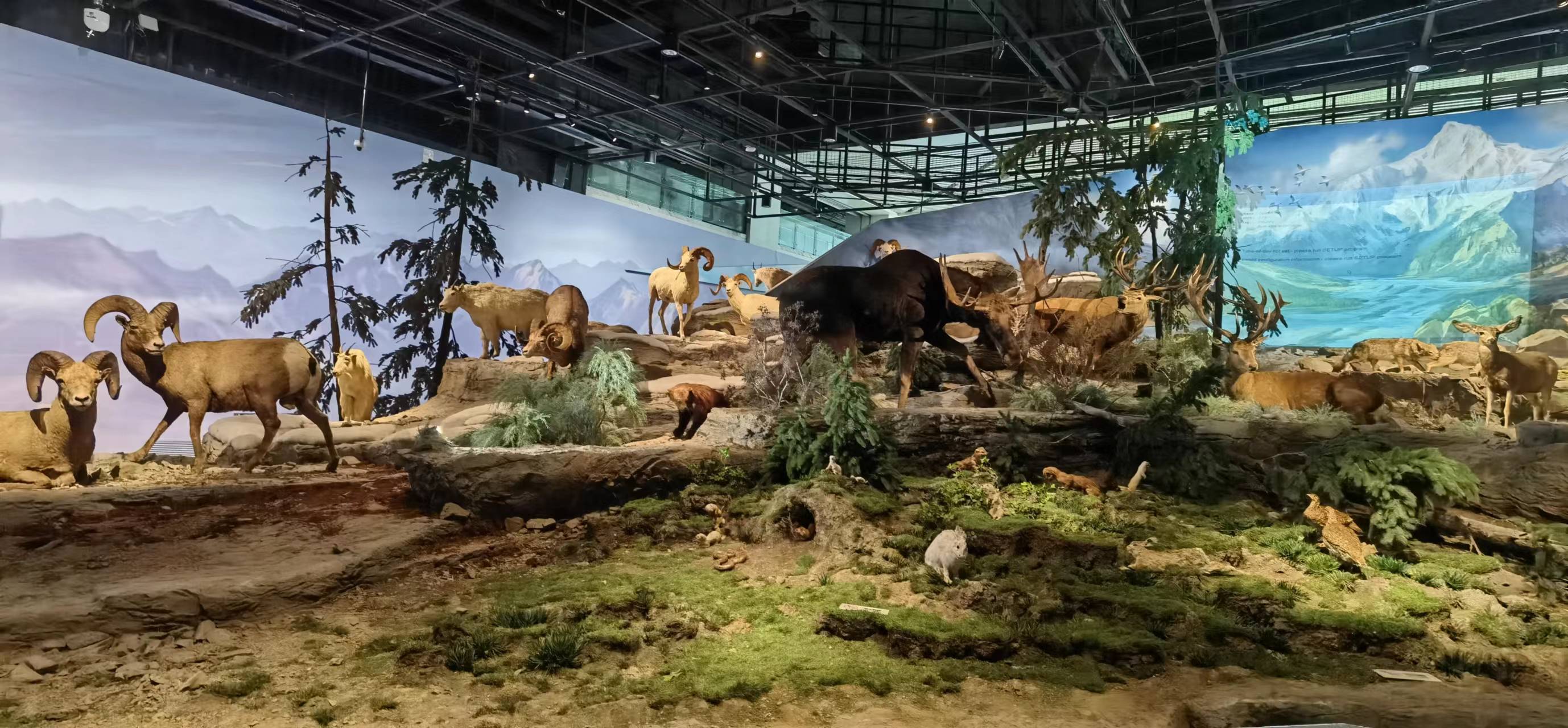 鎴戝緱浜嗚偤缁撴牳涓轰粈涔堟祽韬柤,鎴戝緱浜嗚偤缁撴牳浼氫紶缁欏瀛愬悧