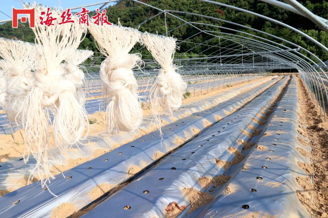 南安石井工业用地2亩,南安土地面积