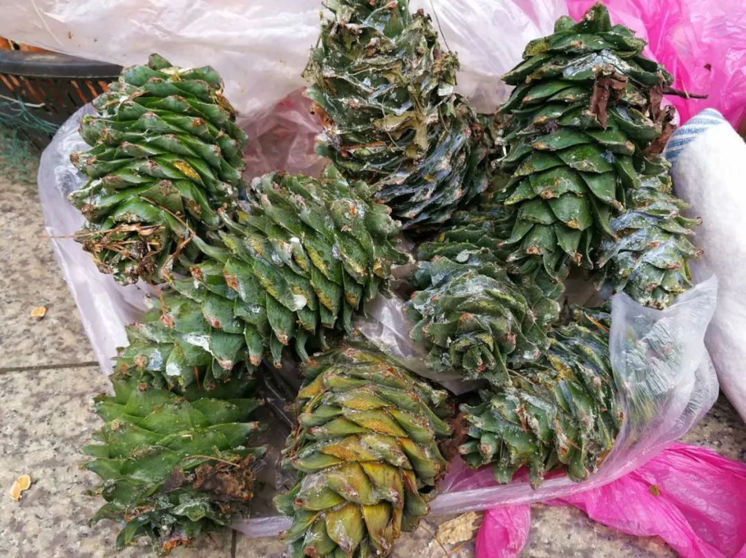 白山市出发五一2-3天短途旅游推荐,冬季白山周边一日游景点大全