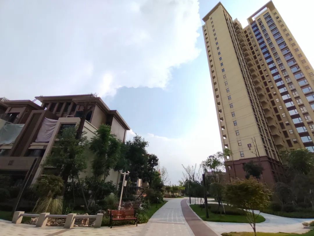 你不要不信！这么多人都在这花几十万，肯定是有道理的