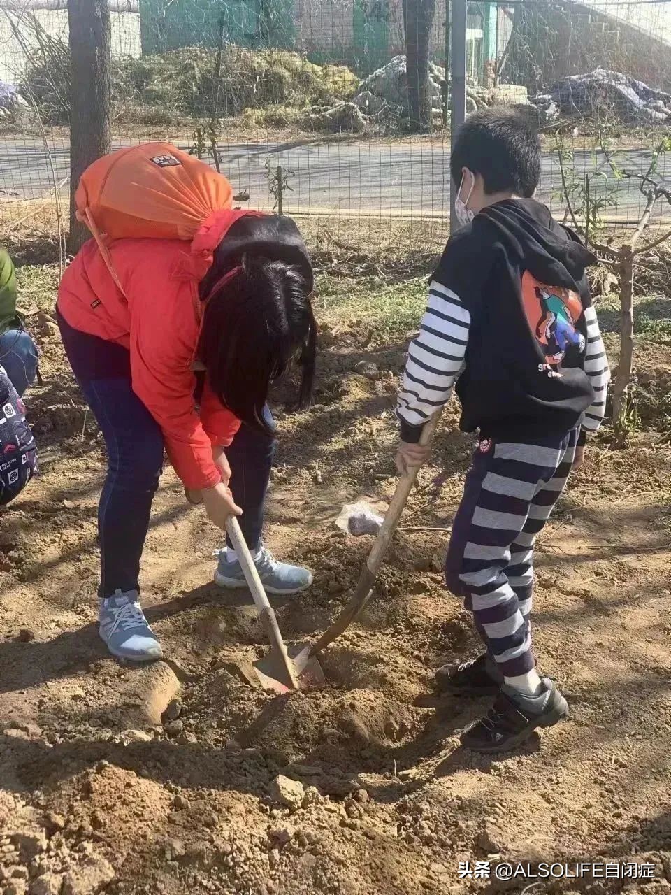 一个特需家庭的融合农场实验