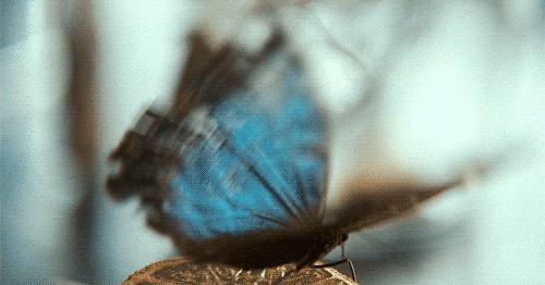 618版本变化,618的新变化