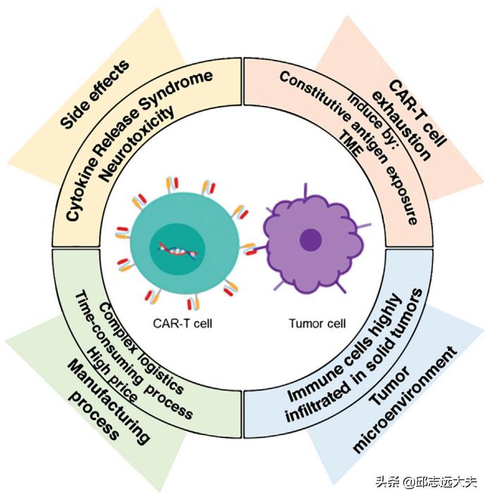 无所不CAR：从CAR-T、CAR-NK到CAR-M