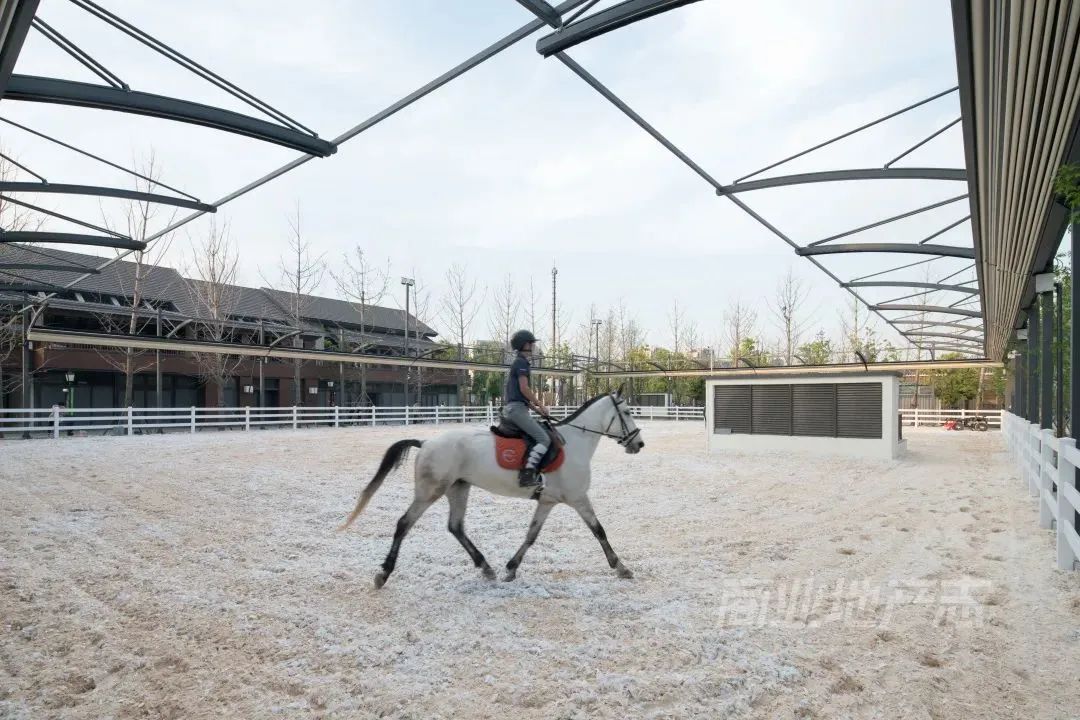 CRR百图斩｜公园里的新天地：上海蟠龙天地