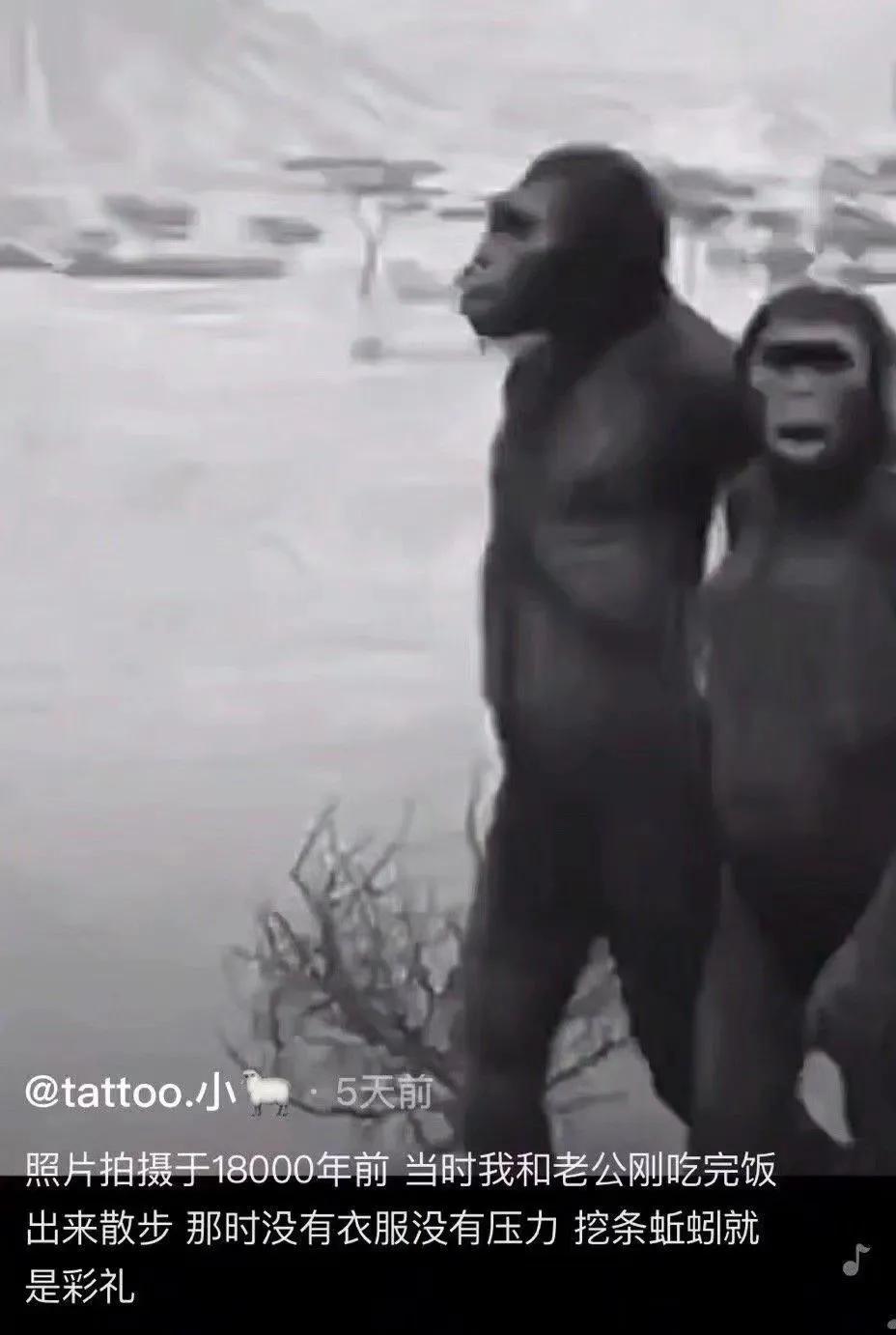 神回复：为啥吴亦凡那么有钱不请张三给他辩护，要请其他律师？