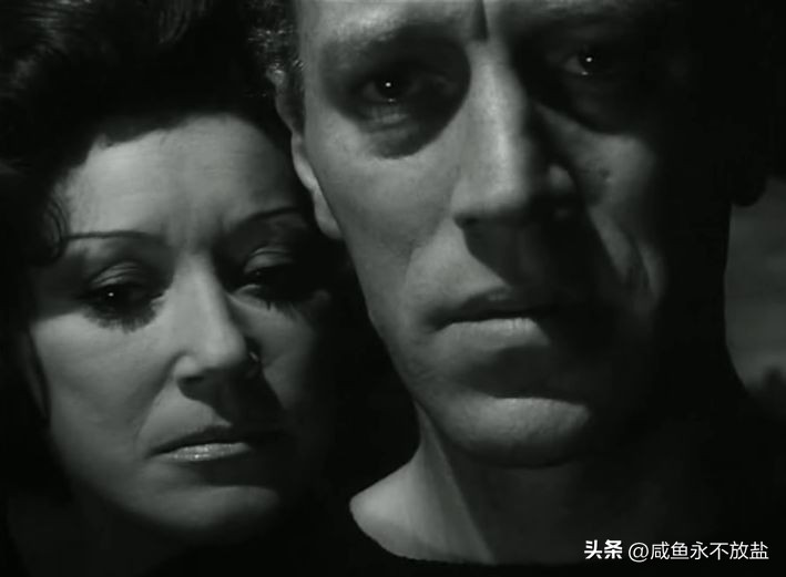 电影的隐喻性表达,谈谈电影中的隐喻