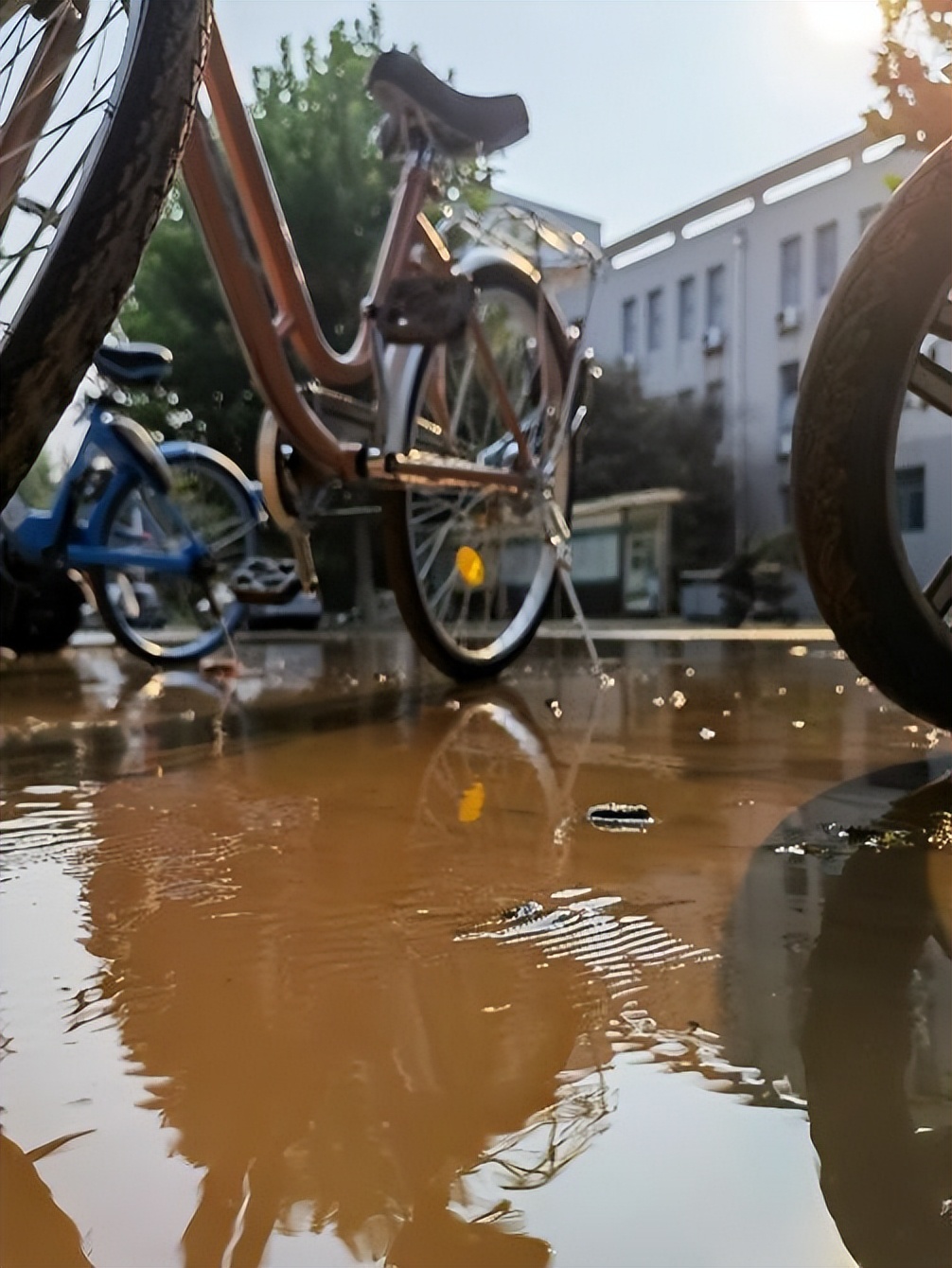 山中医er的“小确幸”