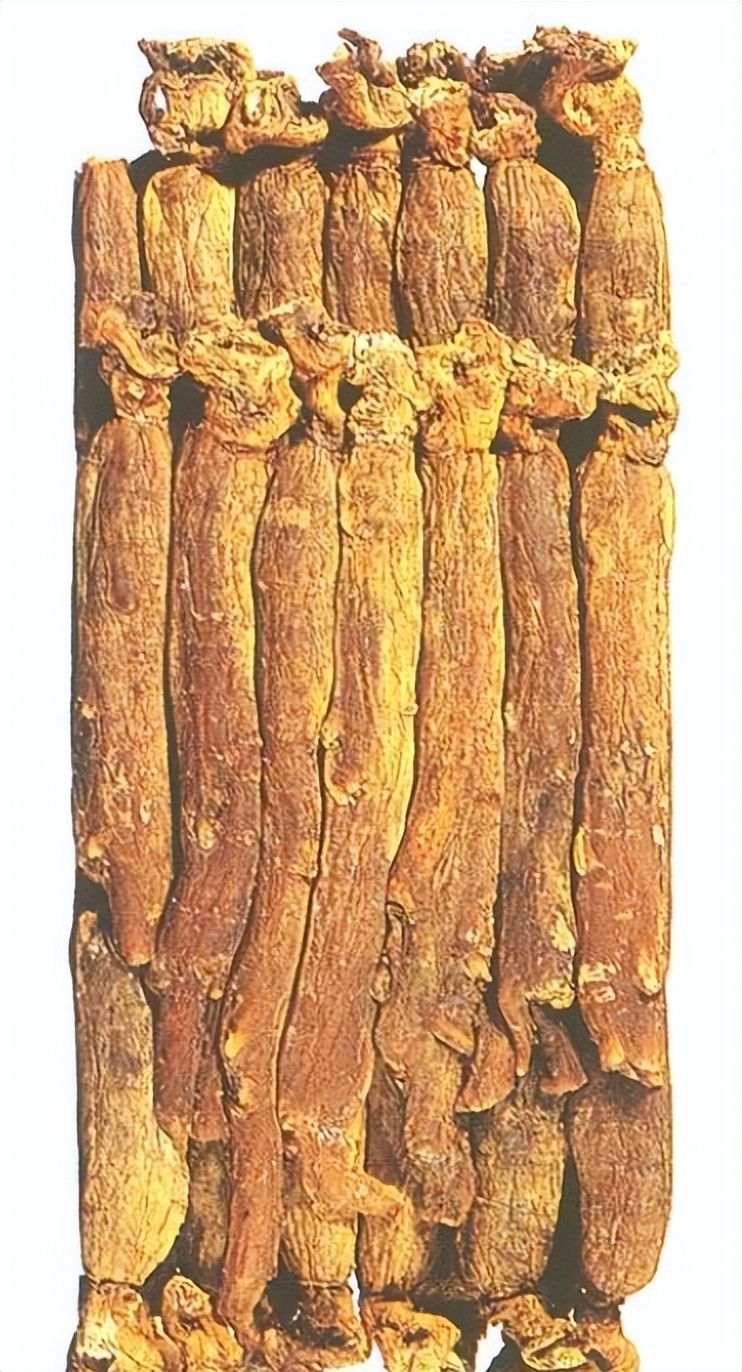 认识红参,带你认识红木