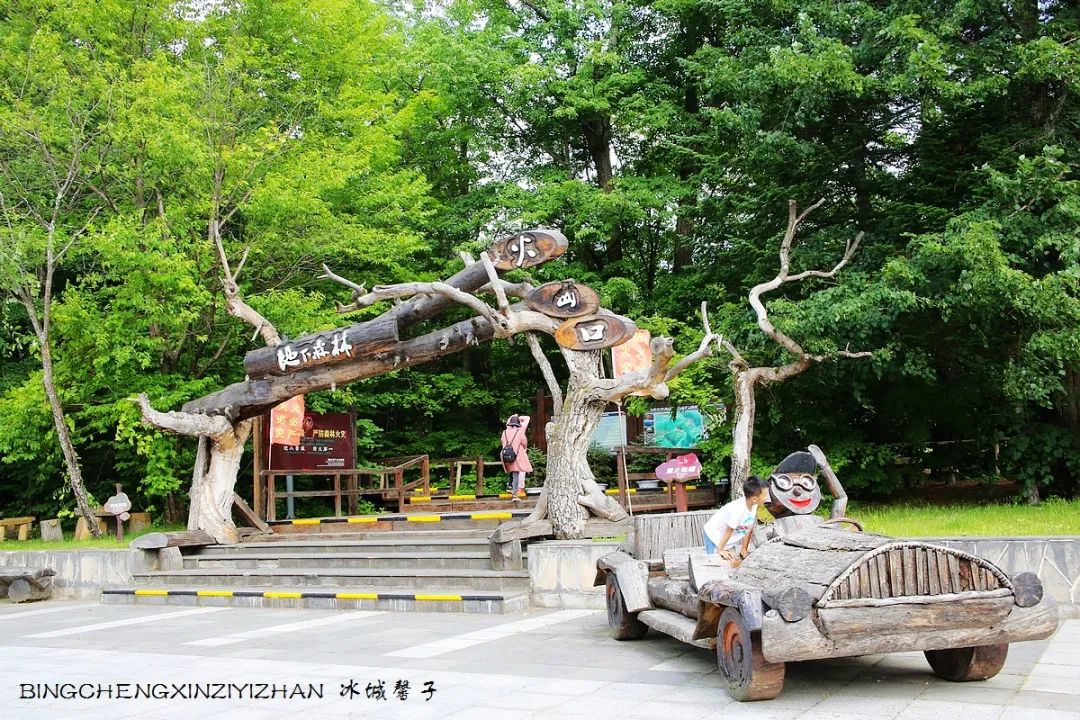 火山口国家森林公园与地下森林,清凉度夏探秘地下森林