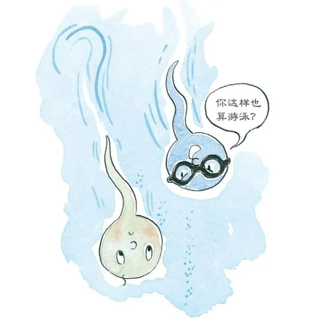 当精子与卵细胞相遇,当精子和卵子相遇后还会排卵吗