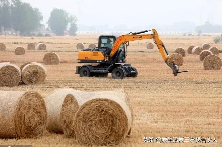 农村地摊十大暴利产品,农村十大暴利食品小作坊创业资讯