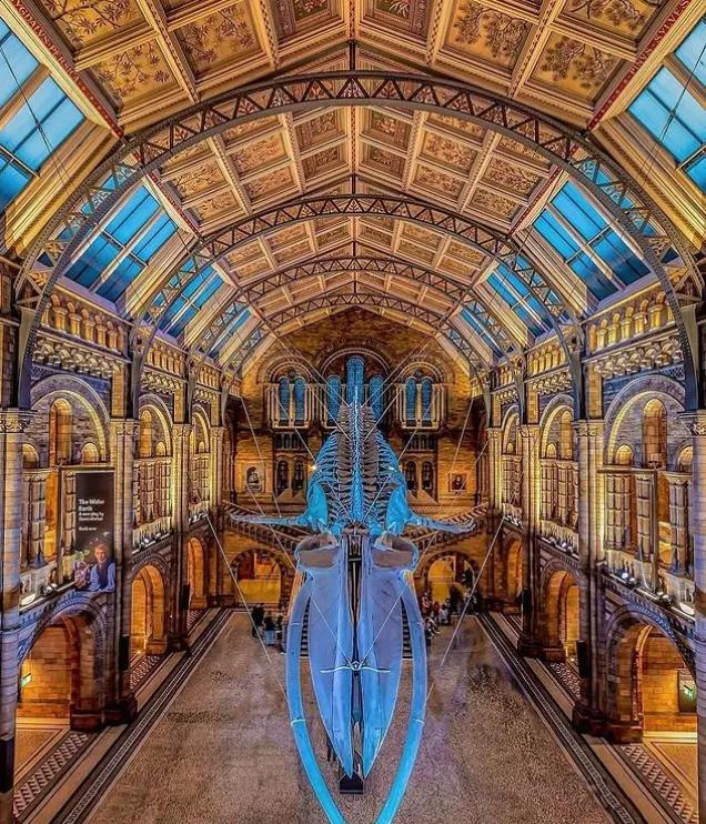 关于伦敦的句子,关于伦敦的歌曲