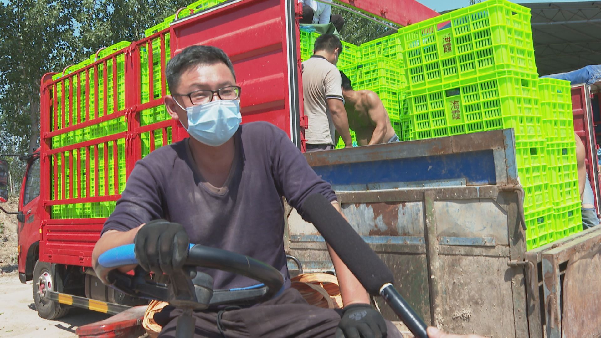 扶沟县12万亩蔬菜基地,扶沟万亩果蔬基地在哪里