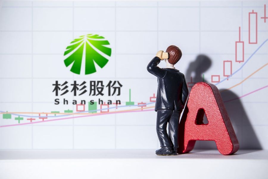 杉杉股份400亿股权争夺战,杉杉股份的未来