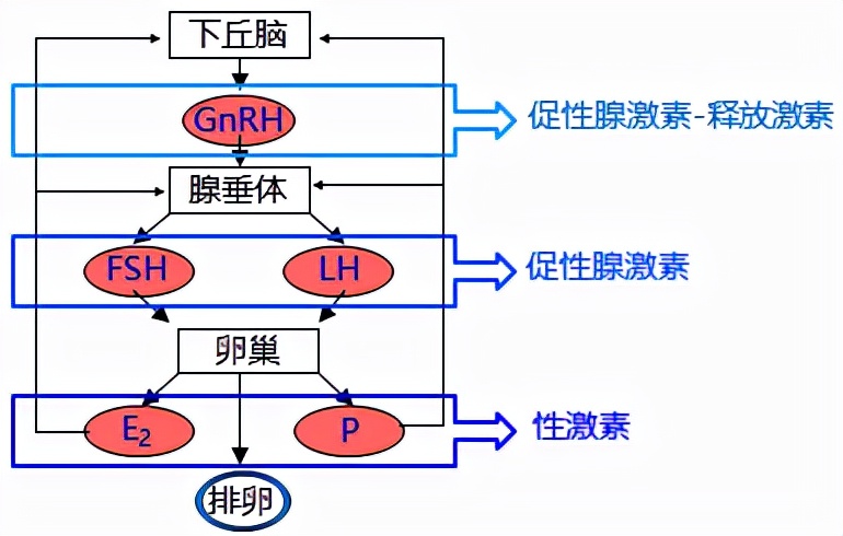 怕她不来又怕她乱来的文案,怕她不来又怕她乱来出处