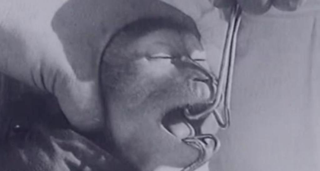 残忍幼猴实验,残忍的幼猴实验被叫停