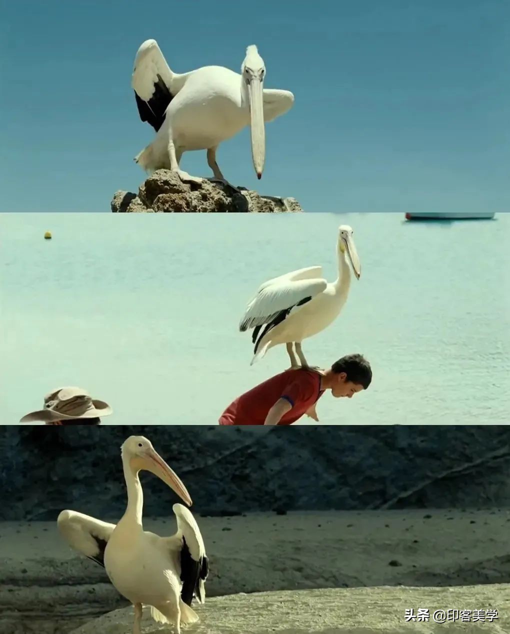 惊艳又养眼的十部电影,绝对让你流连忘返的十部电影