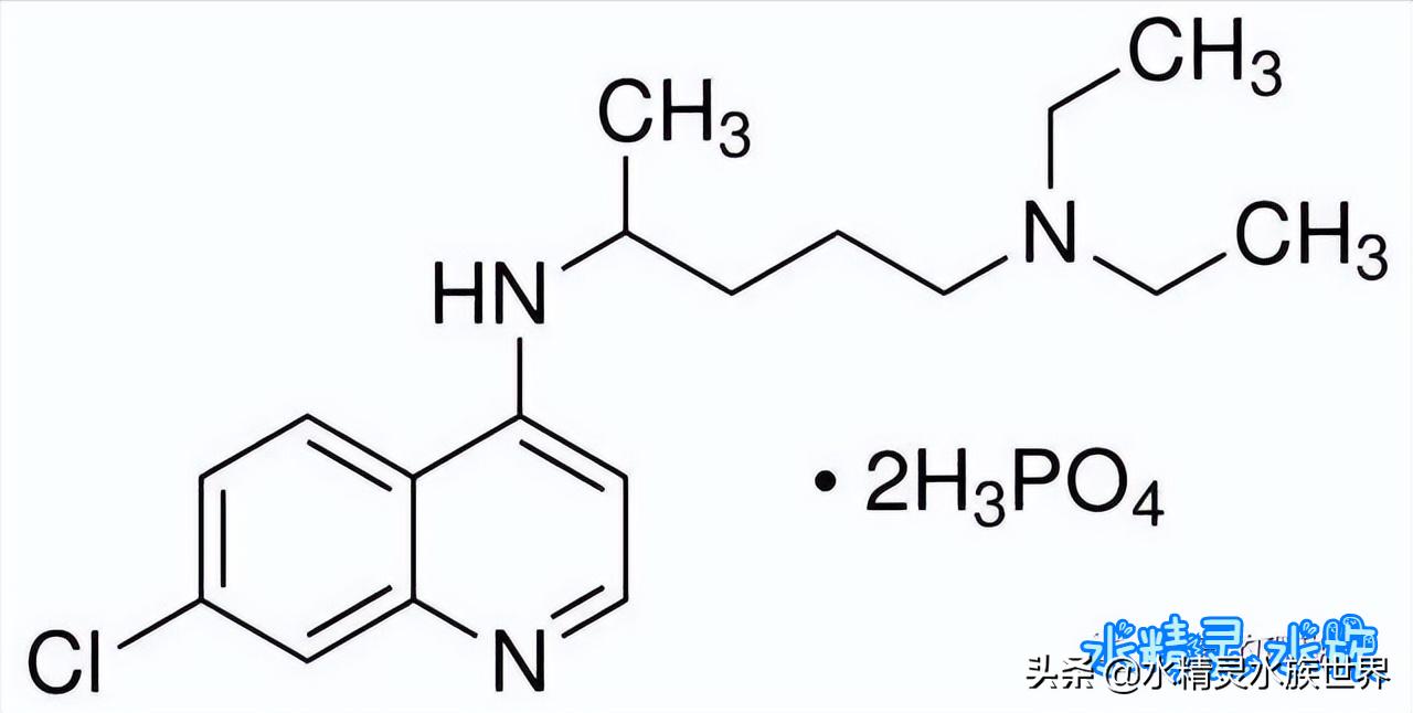 海缸白点病原因,海缸白点病怎么彻底清除