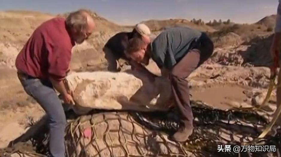 用鸡复活恐龙,用鸡的基因可以复活恐龙吗