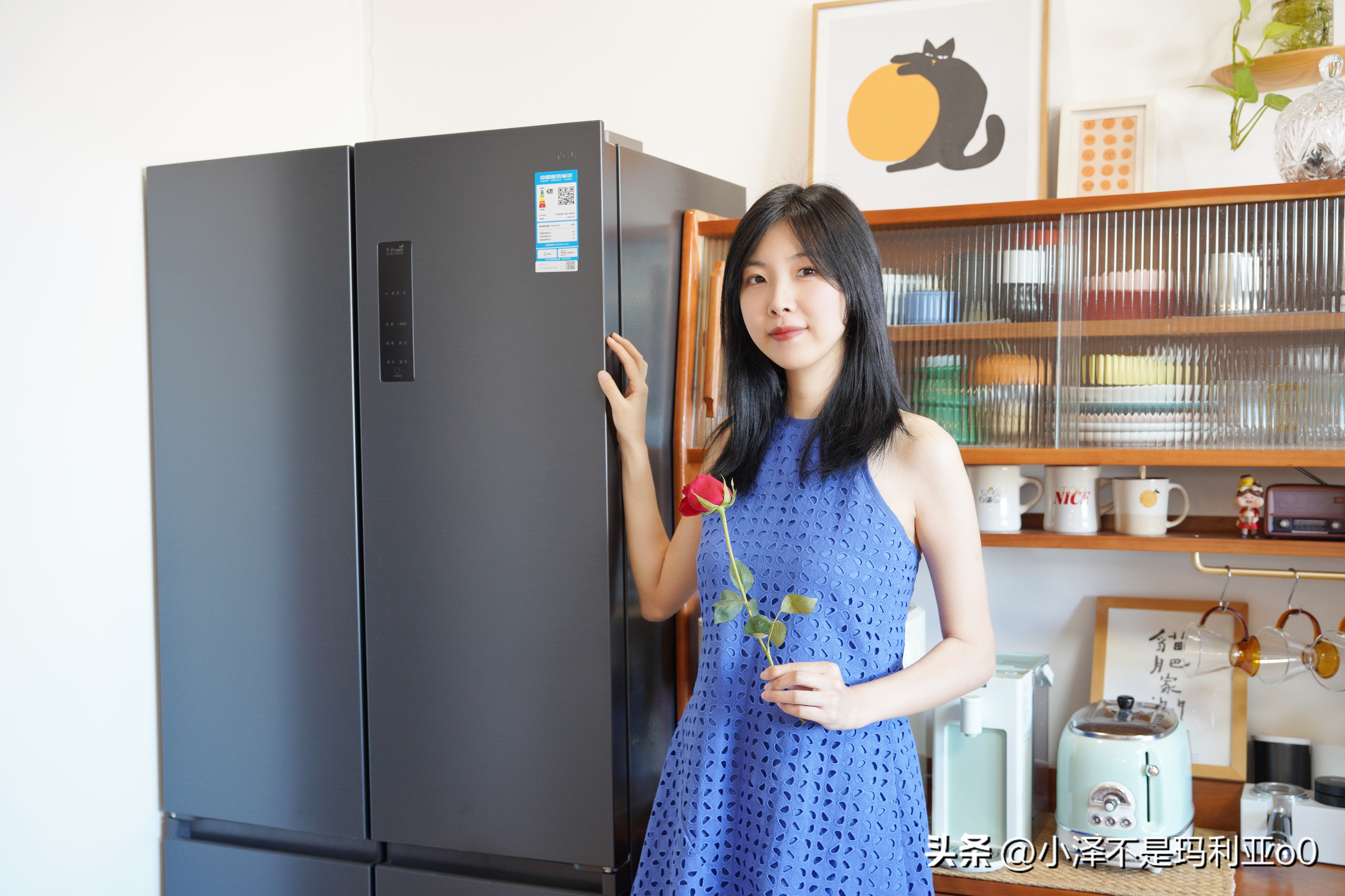 tcl嵌入式超薄t9冰箱尺寸规格,tcl嵌入式t9冰箱装修顶部预留尺寸