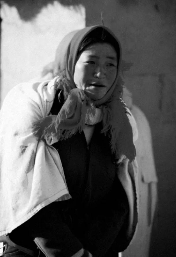 红杉树电视连续剧,红杉树下的小说