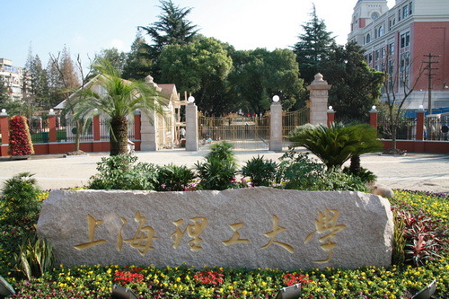 上海艺术学院有哪些专业适合女生,上海市哪几所大学有艺术专业