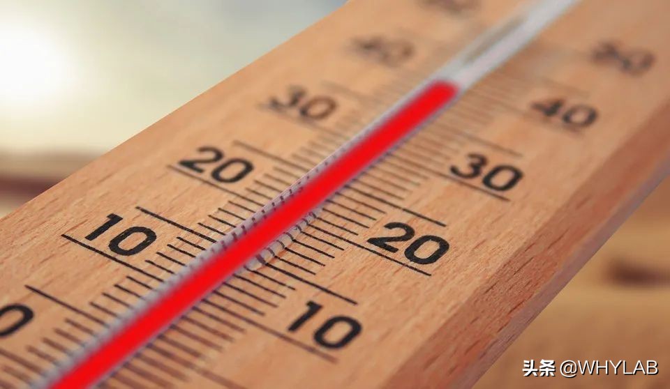 循环扇是不是交智商税,空气循环扇是不是智商税