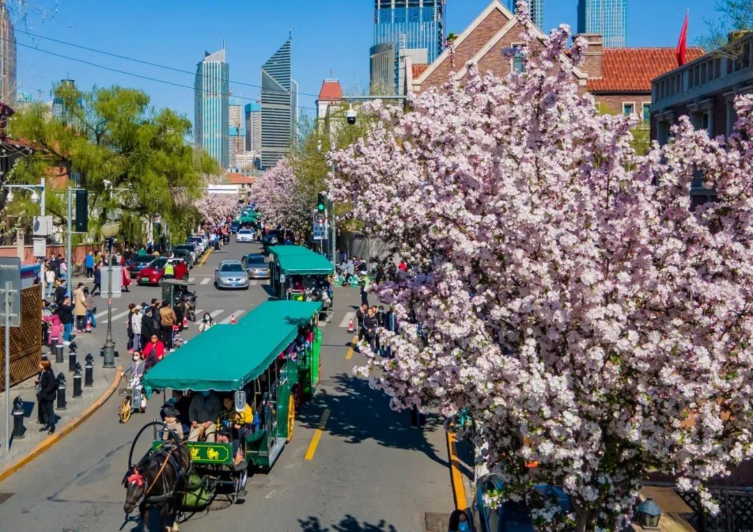 津城春暖花开时,观察春天的景象