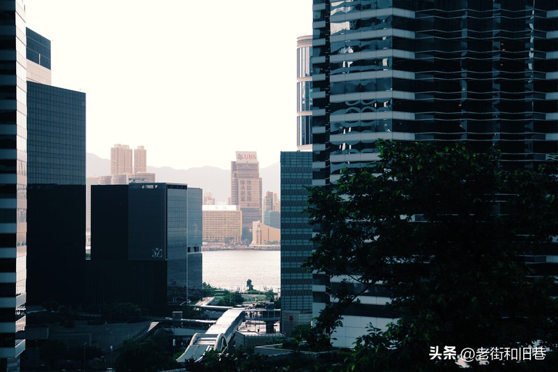 罗生门和黄粱梦,罗生门香港live