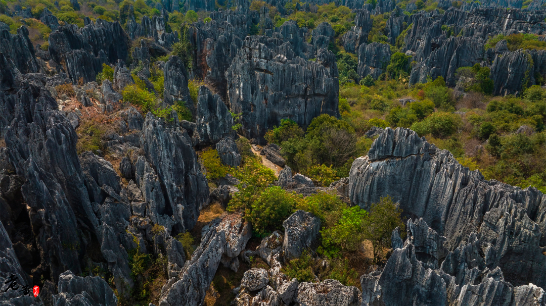 云南旅行石林,云南石林之旅