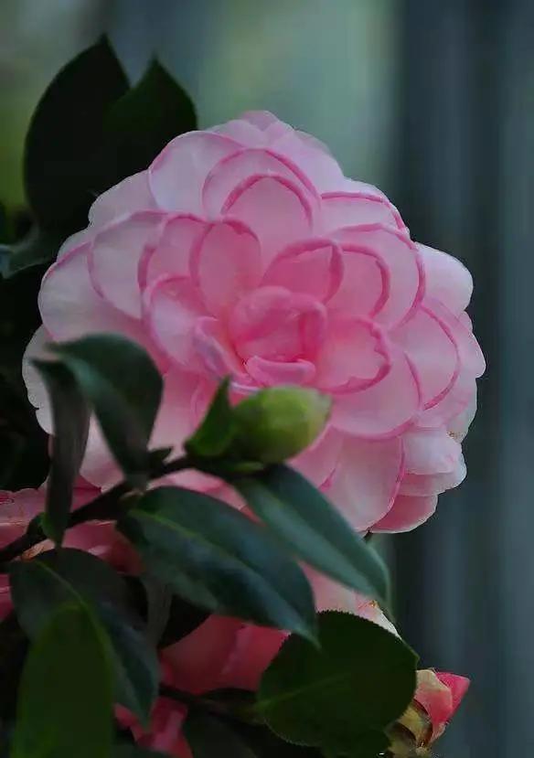 这个季节去哪里玩最合适昆明周边,昆明周边过年旅游推荐