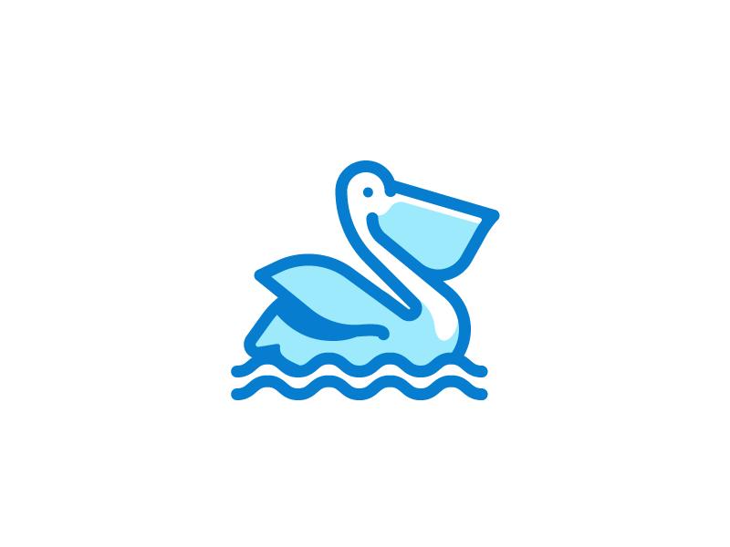 鹈鹕嘴大吃四方到底有多嚣张,大嘴鹈鹕名片