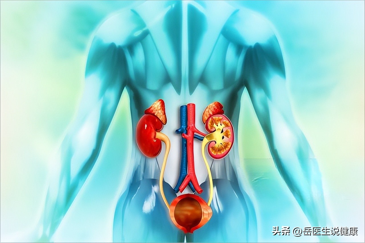 肾衰竭突然喘不过气,肾衰竭时为什么无尿