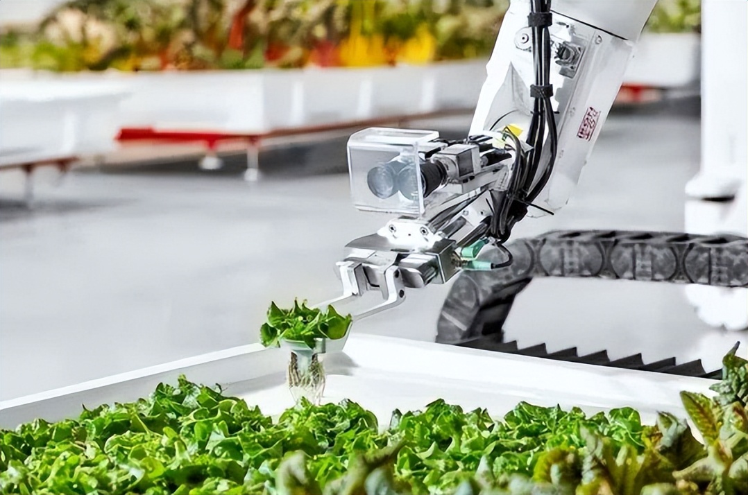 农业产业周报｜百果园、神农、叮咚买菜、中联重科、盒马最新动态