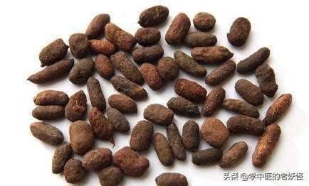 五灵脂可活血通络吗,用于活血止痛五灵脂的最佳配伍