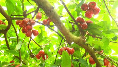 六一去哪里玩最好市区,六一温江遛娃好去处