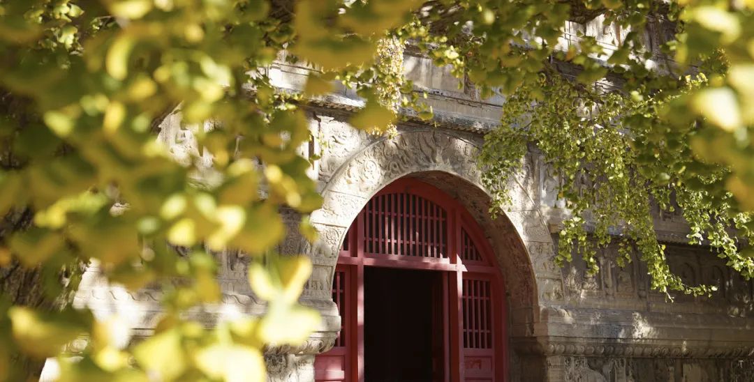 森养af35mmf18fe开箱体验,森养50mmf1.4二代锐度