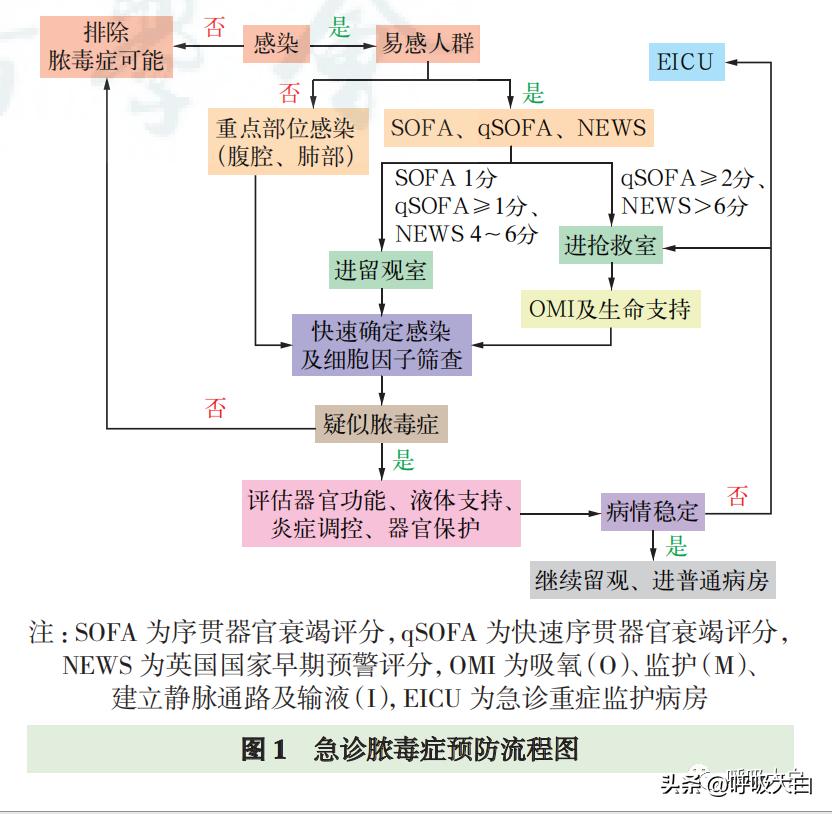 2021年国际脓毒症指南总结,2018脓毒症救治指南