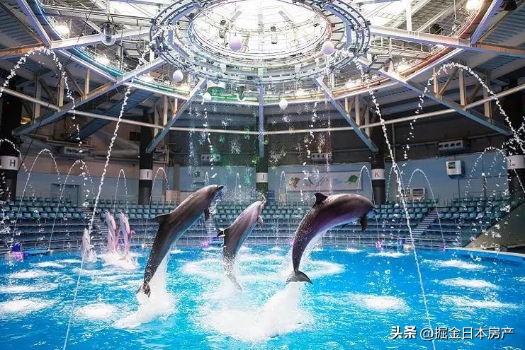 东京品川豪华公寓,日本东京品川区公寓